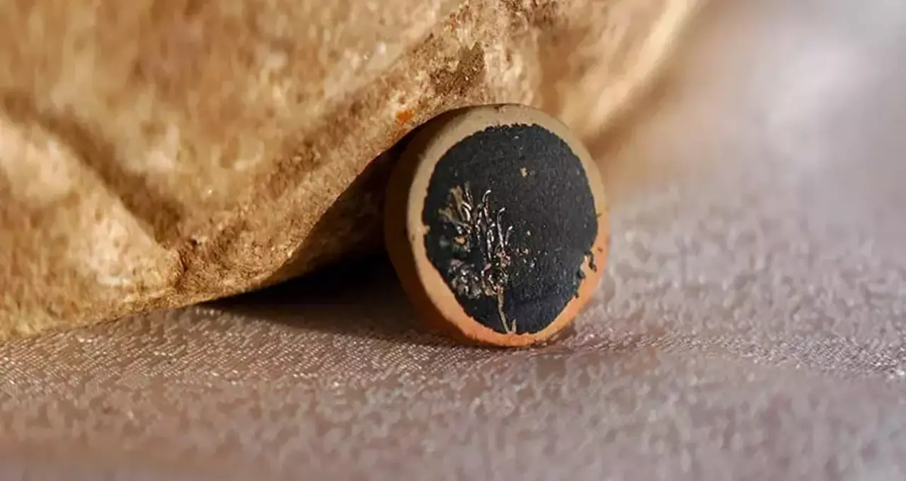 Close-up of a 2,000-year-old terracotta Roman theater ticket with a black-glazed rose motif.