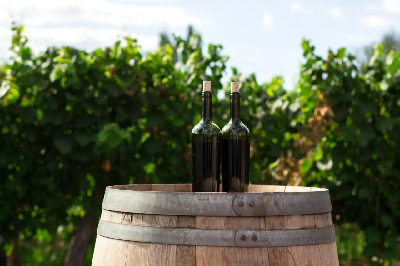 Two wine bottles on a wooden barrel with a lush vineyard background.