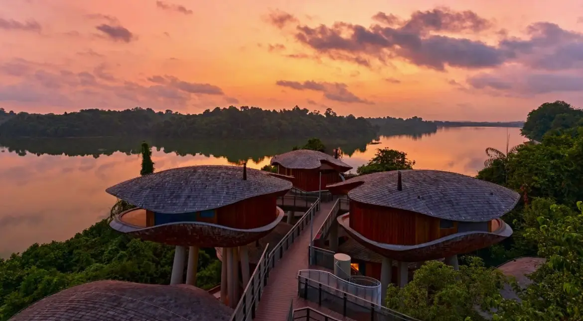 Treehouse accommodations at Mandai Rainforest Resort by Banyan Tree, overlooking the serene Upper Seletar Reservoir during a vibrant sunset.