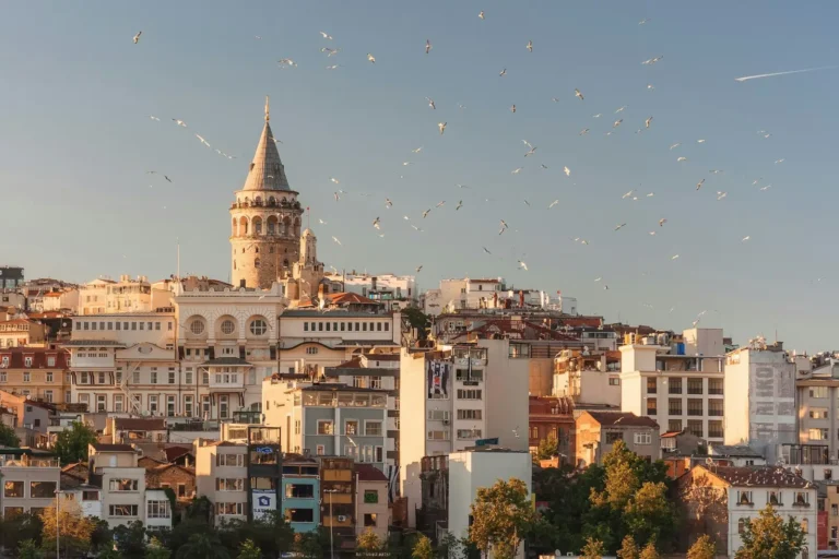 Galata Tower rising above Istanbul’s historic buildings with seagulls flying in a clear sky.