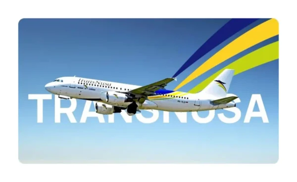 TransNusa Airbus A320 aircraft in flight with blue sky and airline branding.