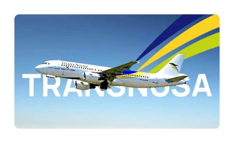 TransNusa Airbus A320 aircraft in flight with blue sky and airline branding.
