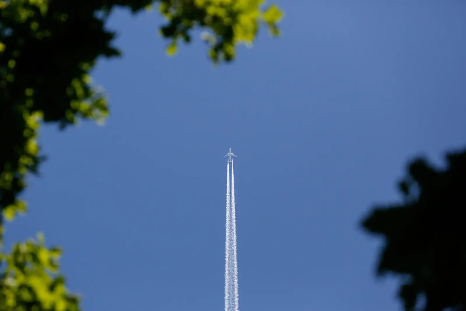 A commercial airplane flying high in the sky, leaving behind a white contrail, framed by green tree leaves.