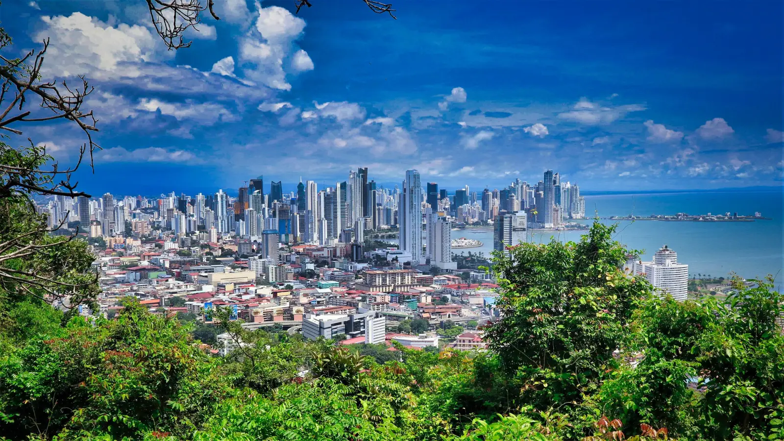 A stunning view of Panama City’s modern skyline, framed by lush greenery, with the Pacific Ocean in the background under a bright blue sky.