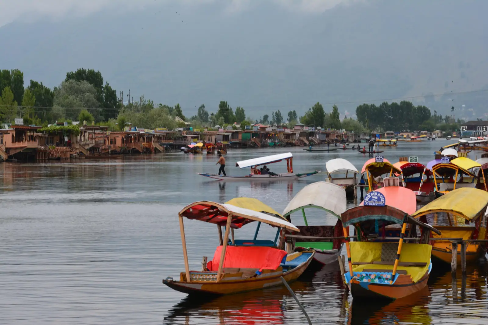 British Foreign Office travel advice: Colorful shikaras docked on Dal Lake in Srinagar, with houseboats and misty mountains in the background.