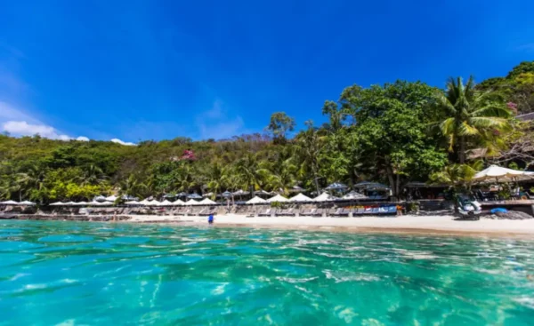 Tropical beach in Nha Trang, Vietnam, with clear turquoise water, white sand, and lush palm trees.