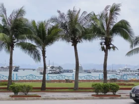 11c. View of harbour