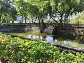 8c. Pond in palace