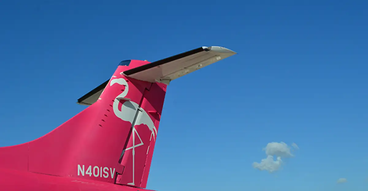 Silver Airways aircraft tail with flamingo logo against a clear blue sky