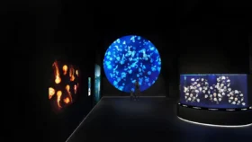 The New Singapore Oceanarium Opens, Connects Visitors To Marina Conservation 4 2b. Ocean Wonders