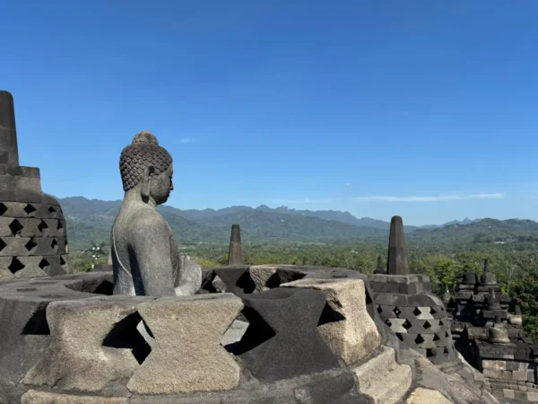 Buddha statue at Borobudur Temple in Java, Indonesia, with stupas and a panoramic view of lush green hills under a clear blue sky.