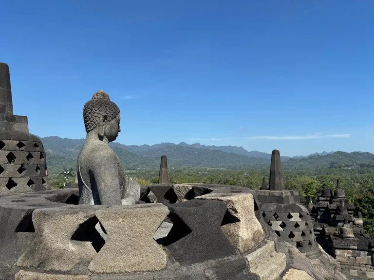 Buddha statue at Borobudur Temple in Java, Indonesia, with stupas and a panoramic view of lush green hills under a clear blue sky.