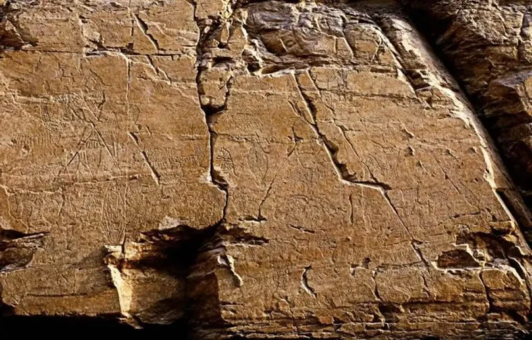Ancient petroglyphs carved into a brown rock face at Bangucheon Stream in Ulsan, depicting prehistoric animals and human figures.
