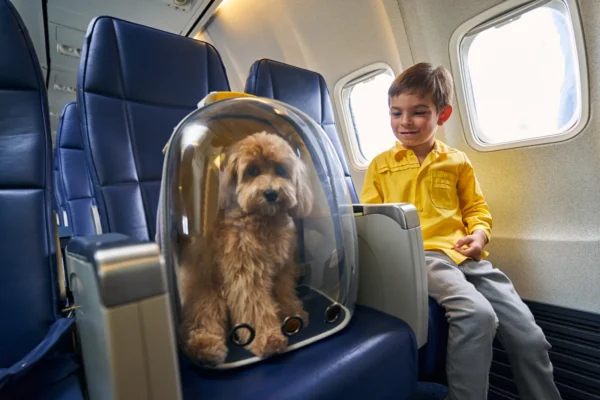 Young boy in a yellow shirt smiling at his small fluffy dog sitting next to him in an airline seat inside a clear pet carrier, illustrating pet-friendly air travel.