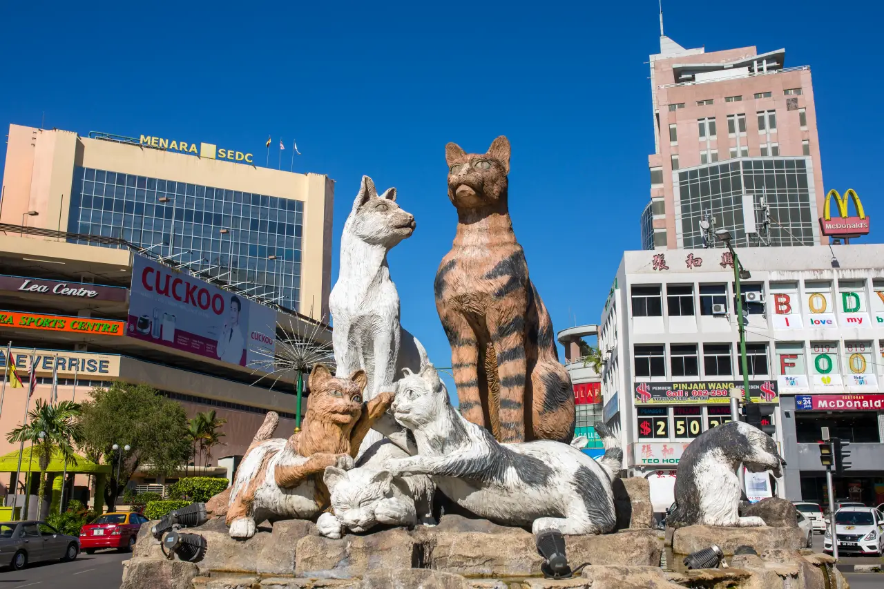 Agoda列表亚洲的顶级猫友好旅行目的地