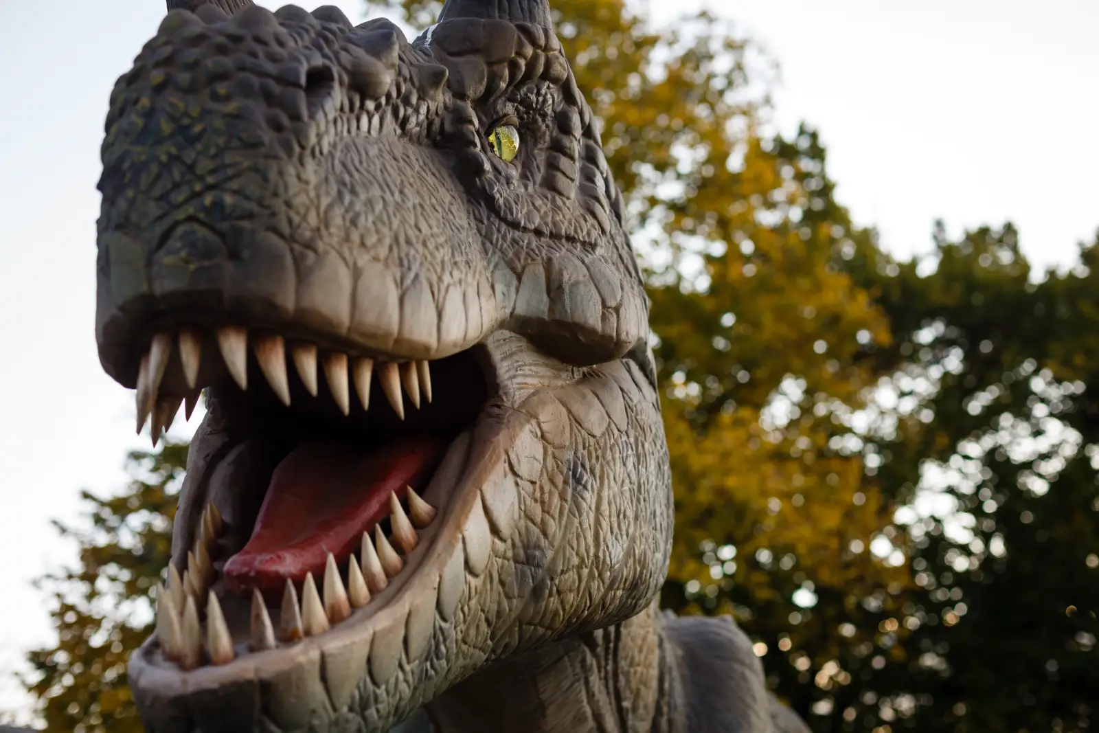 Close-up of a Tyrannosaurus rex model with open mouth and sharp teeth, outdoor setting with trees in background.