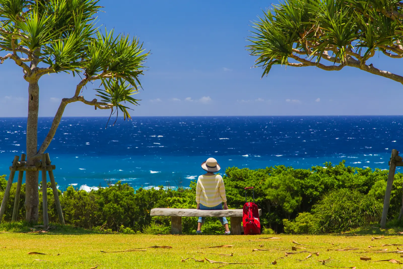 Japan Has Nearly 100,000 People Aged 100 Or Older In 2025 3 Woman with a suitcase sitting on a bench overlooking the ocean in Okinawa, Japan.