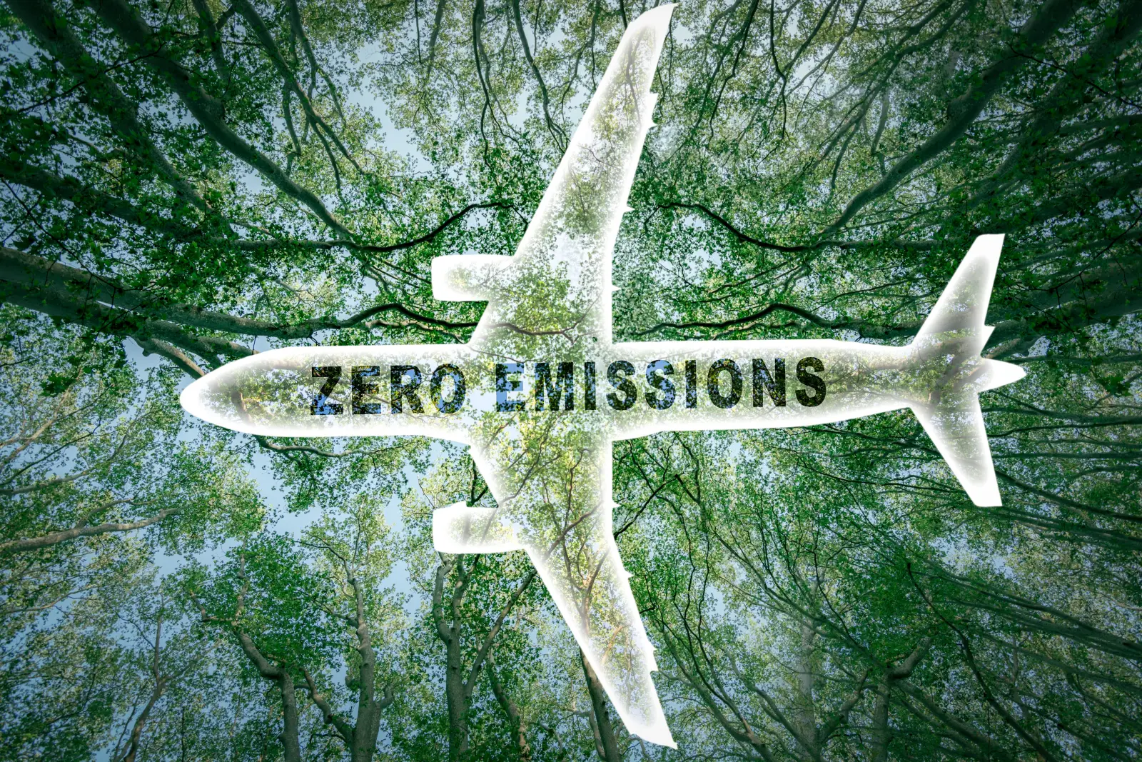Illustration of an airplane silhouette with “Zero Emissions” text overlaid on a forest background, symbolizing sustainable aviation