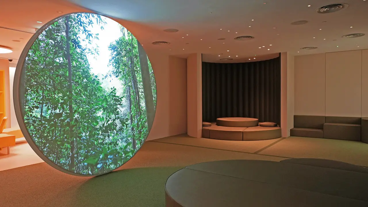 Changi Airport’s Calm Room Welcomes Travellers With Invisible Disabilities 41 Interior of Changi Airport’s Calm Room showing The Forest zone with biophilic projection and seating area