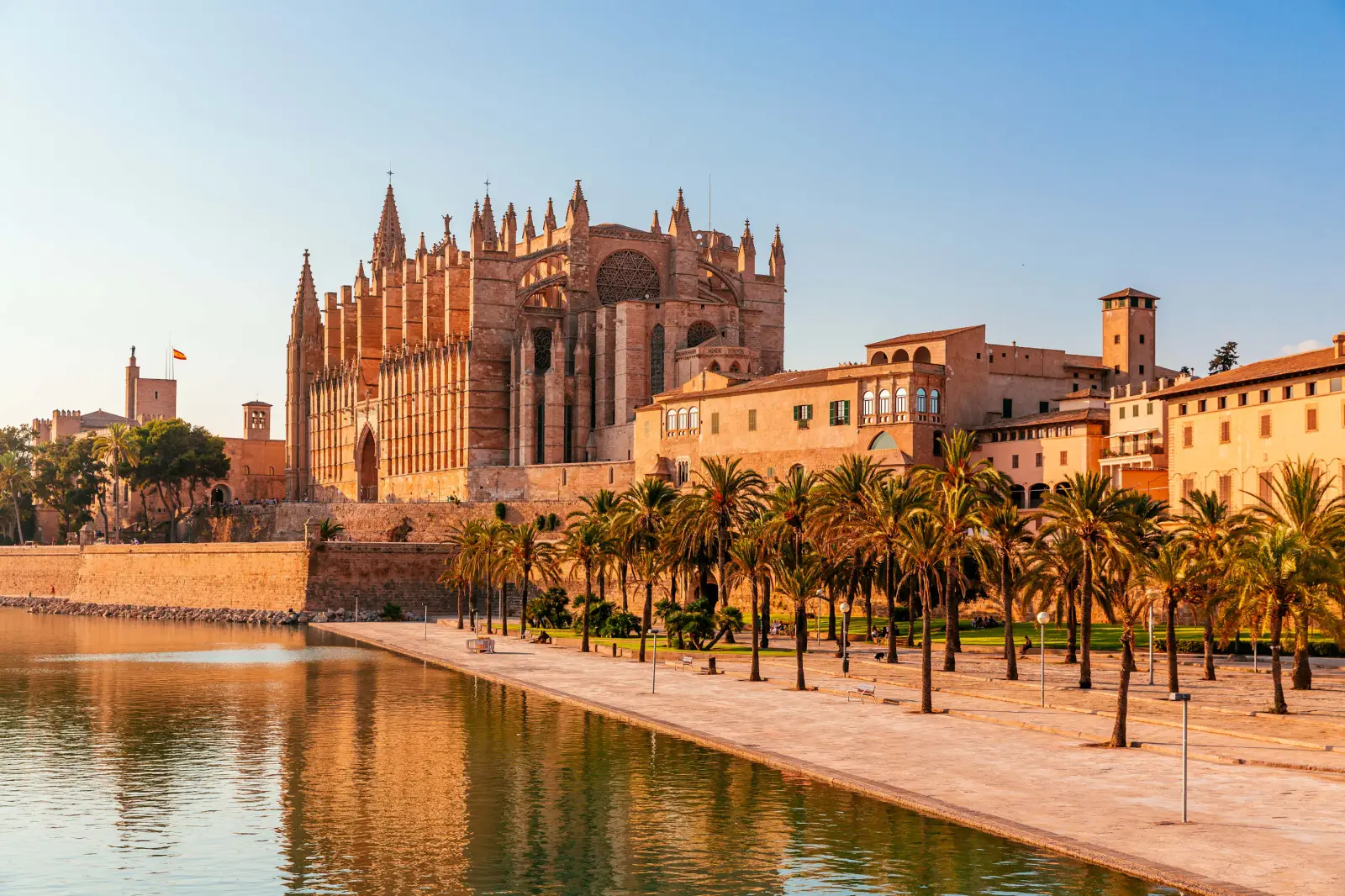 Palma Cathedral overlooking the waterfront and palm-lined promenade in Mallorca