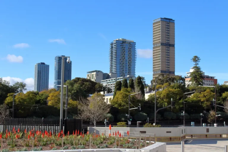 Other News 7 Adelaide city skyline with modern high-rise buildings, trees, and landscaped foreground under a clear blue sky
