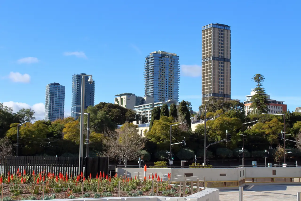 The Value Of Professional Advice From A Migration Agent 2 Adelaide city skyline with modern high-rise buildings, trees, and landscaped foreground under a clear blue sky