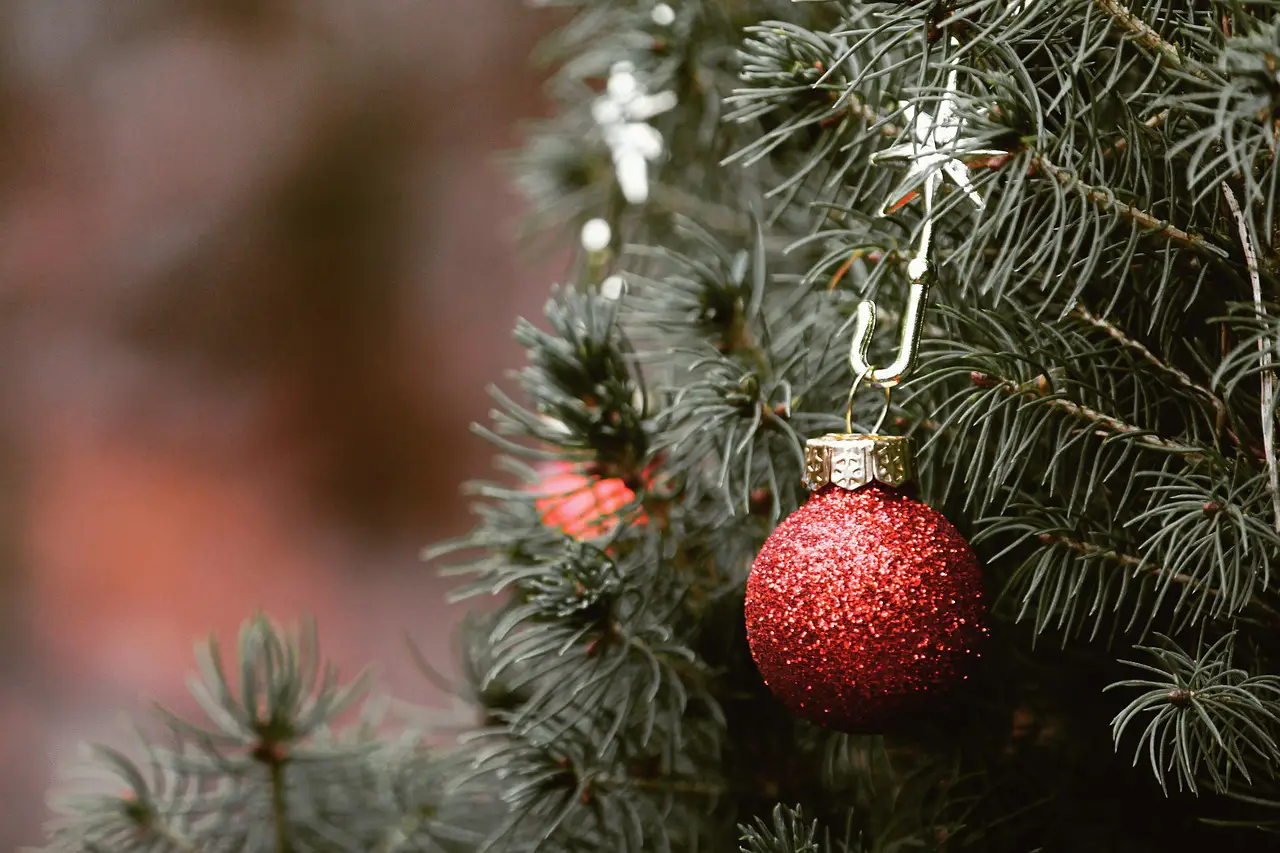 Red Christmas ornament hanging on a fir tree branch with soft holiday lighting