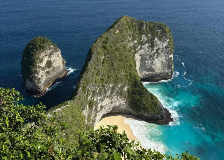 Aerial view of Kelingking Beach in Bali showing the dinosaur-shaped limestone cliff, turquoise ocean and sandy cove below.
