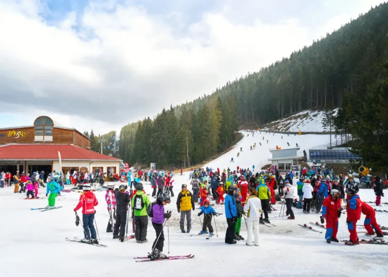 Skiers gather on a busy slope at Bansko ski resort in Bulgaria, with pine forest and mountain landscape in winter.