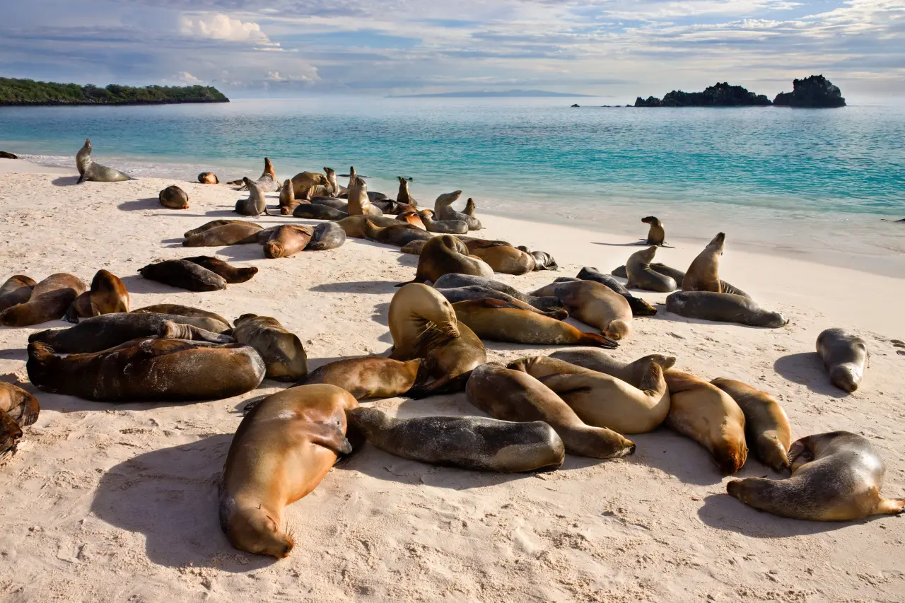 A New Trend In Travel – The Rise of Expedition Travel to the Galápagos Islands
