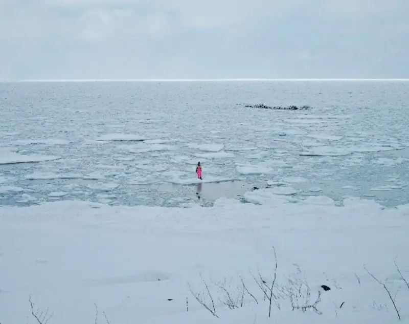 Turkish Visitor Numbers To Japan Jump 73.6% In 2025, Says Jnto 3 A person in a bright pink coat stands on sea ice along a frozen shoreline in Hokkaido, Japan, with drifting ice floating on the water under an overcast sky.