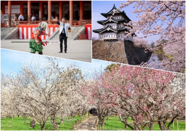 News From Turkey - Türkiye 16 Collage showing a traditional Japanese festival performance, cherry blossoms around a historic castle, and blooming plum orchards in springtime Japan.