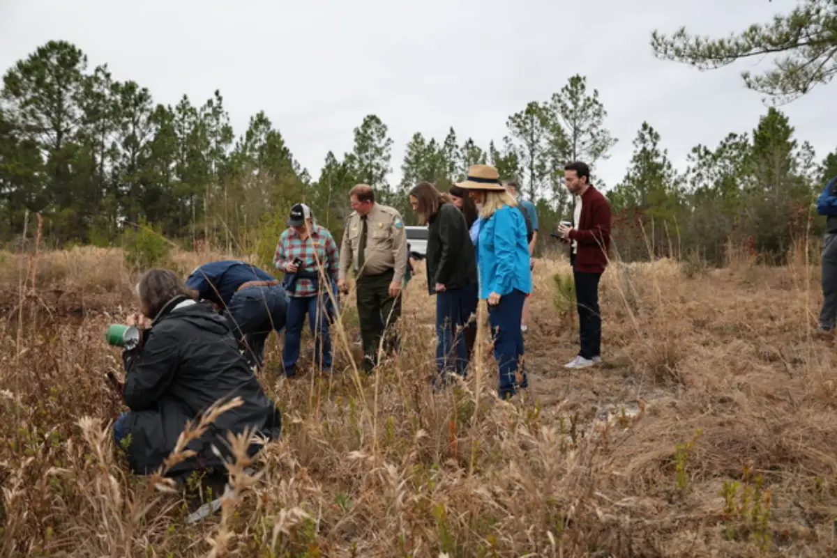 A new Florida state park opens with forests, rivers and miles to explore
