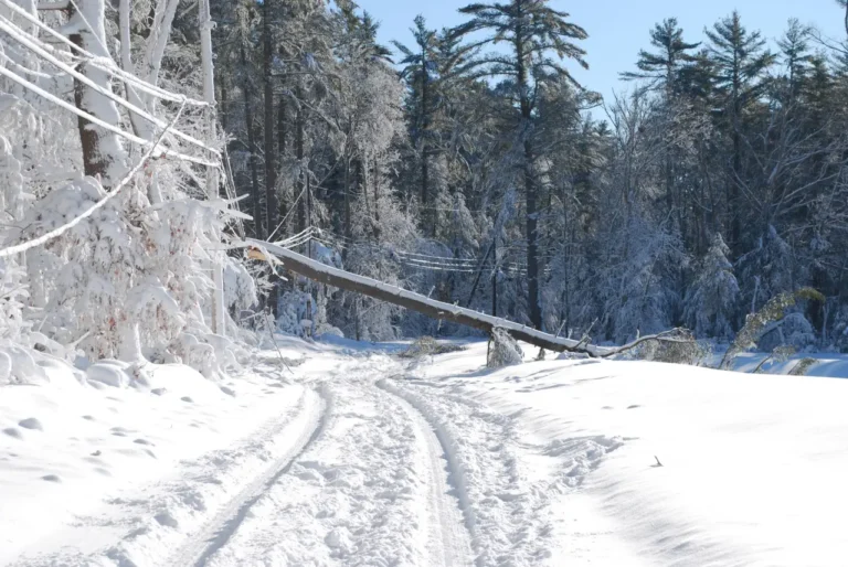 Other News 18 Snow-covered rural road blocked by fallen power pole after blizzard storm in winter forest