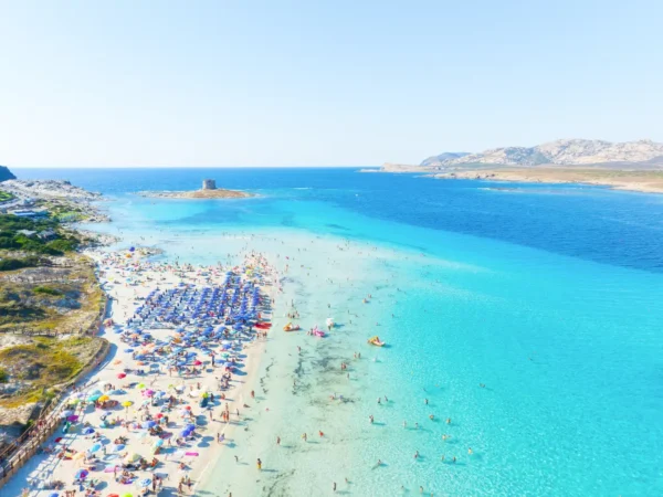News 17 Aerial drone view of La Pelosa Beach in Sardinia, Italy, with crowds under colorful umbrellas and clear turquoise water near a small islet tower.