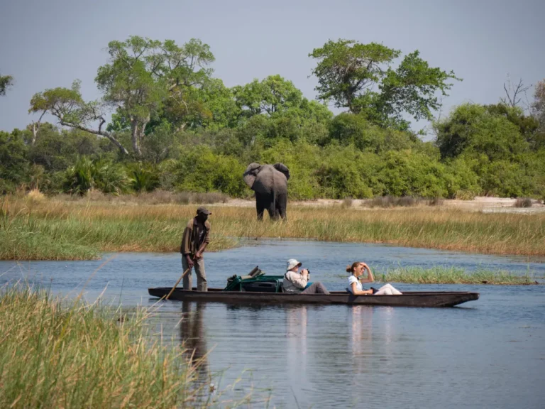 Luxury Travel 43 Tourists glide in traditional mokoro boats through the Okavango Delta wetlands in Botswana as an elephant stands on the riverbank
