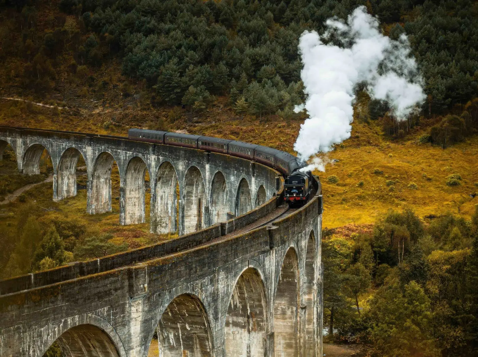 Steam train crossing the Glenfinnan Viaduct in the Scottish Highlands, Scotland