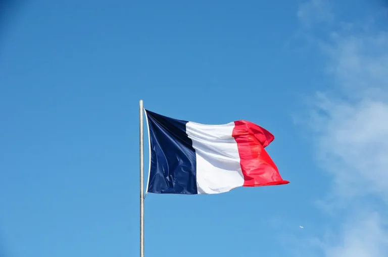 Other News 8 French national flag waving on a flagpole against a clear blue sky.