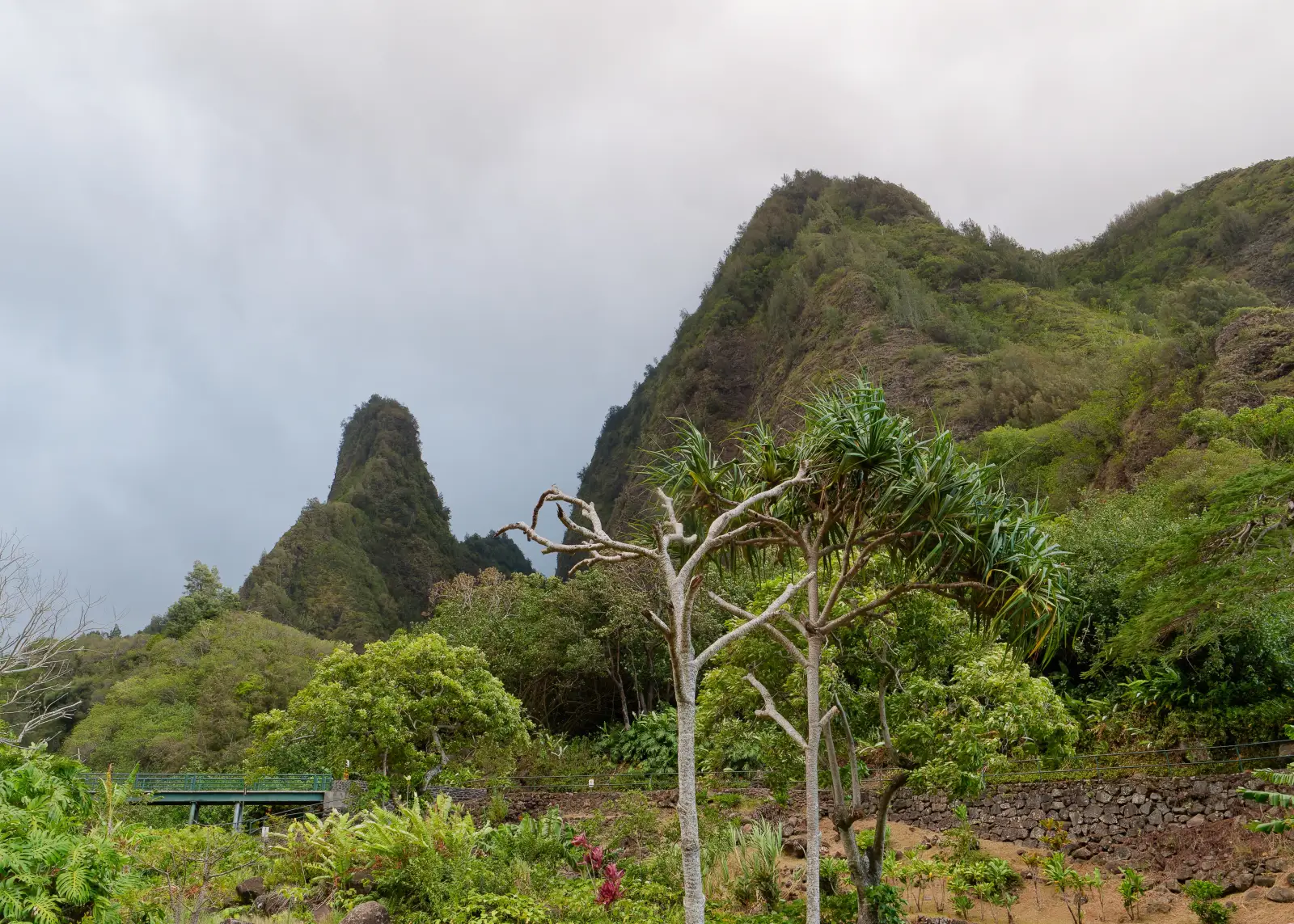 Scenic view of Iao Valley State Monument on Maui with the Iao Needle rock formation, lush tropical vegetation and steep green mountains under cloudy skies.