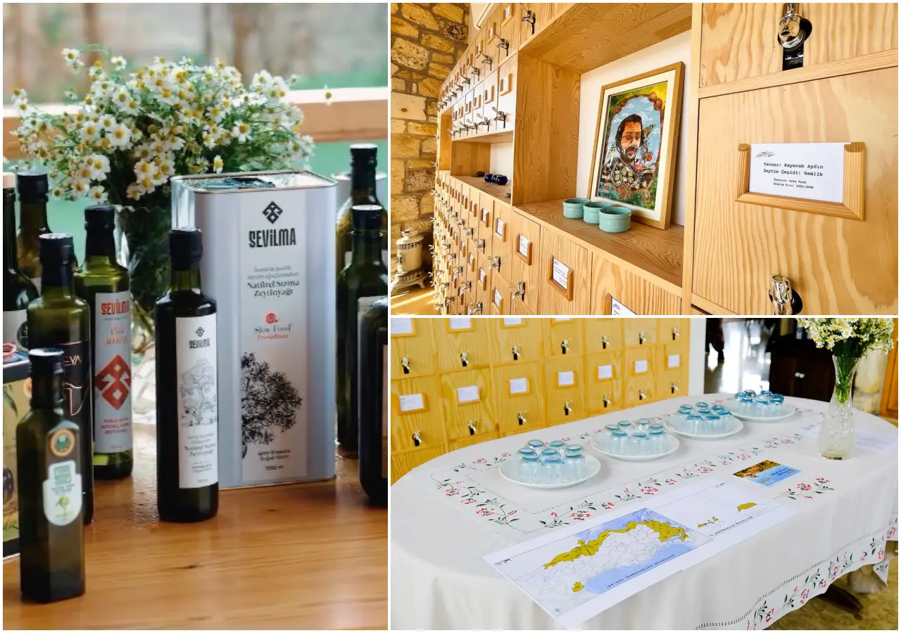 Interior of the world's first olive oil library in Seferihisar, İzmir, Turkey, showing wooden tasting shelves, Sevilma olive oil bottles, and a guided tasting table with regional maps.