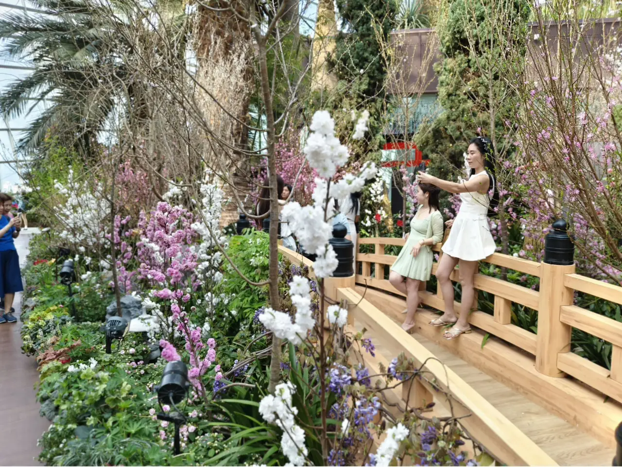 Sakura Floral Extravaganza At Singapore’s Gardens By The Bay 16 5b. Mother and daughter on bridge