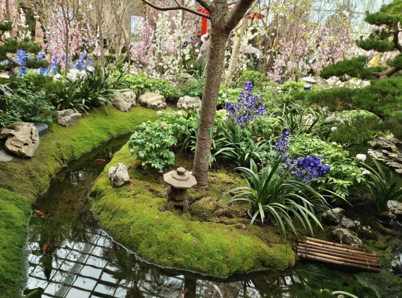Sakura Floral Extravaganza At Singapore’s Gardens By The Bay 17 5c. Stream