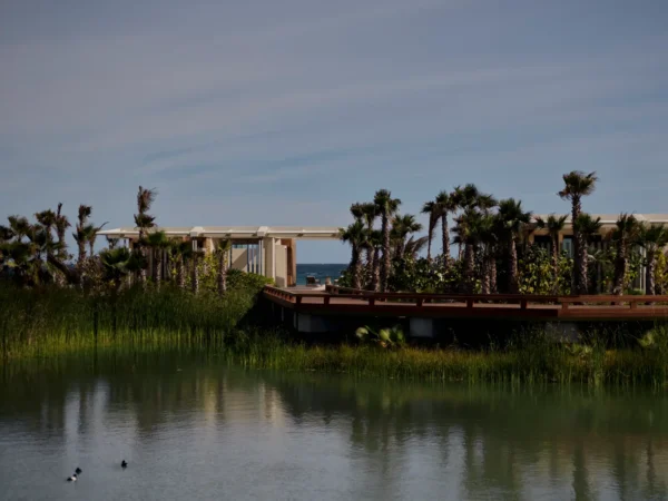 Amanvari luxury beachfront resort in Baja Mexico surrounded by palm trees, lagoon waters and modern casitas overlooking the Sea of Cortez