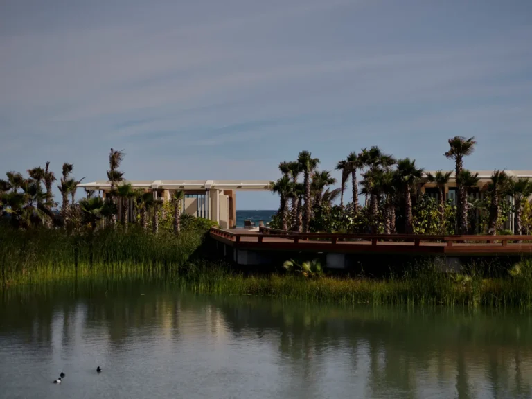 Amanvari luxury beachfront resort in Baja Mexico surrounded by palm trees, lagoon waters and modern casitas overlooking the Sea of Cortez