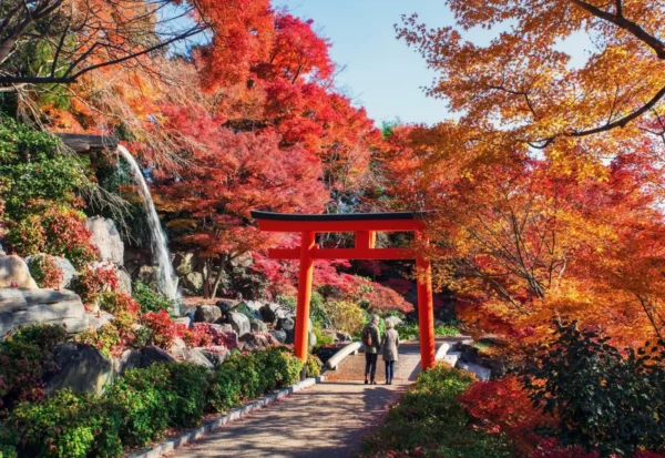 Japan torii gate surrounded by autumn foliage, featured in Azamara Cruises 2028 Asia season
