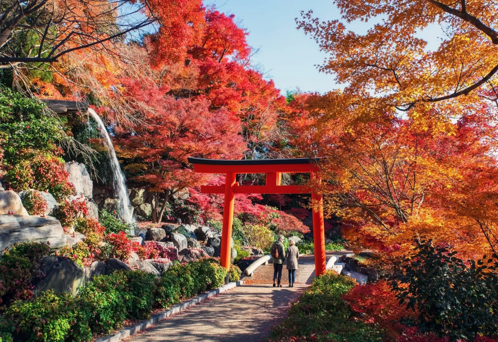Japan torii gate surrounded by autumn foliage, featured in Azamara Cruises 2028 Asia season