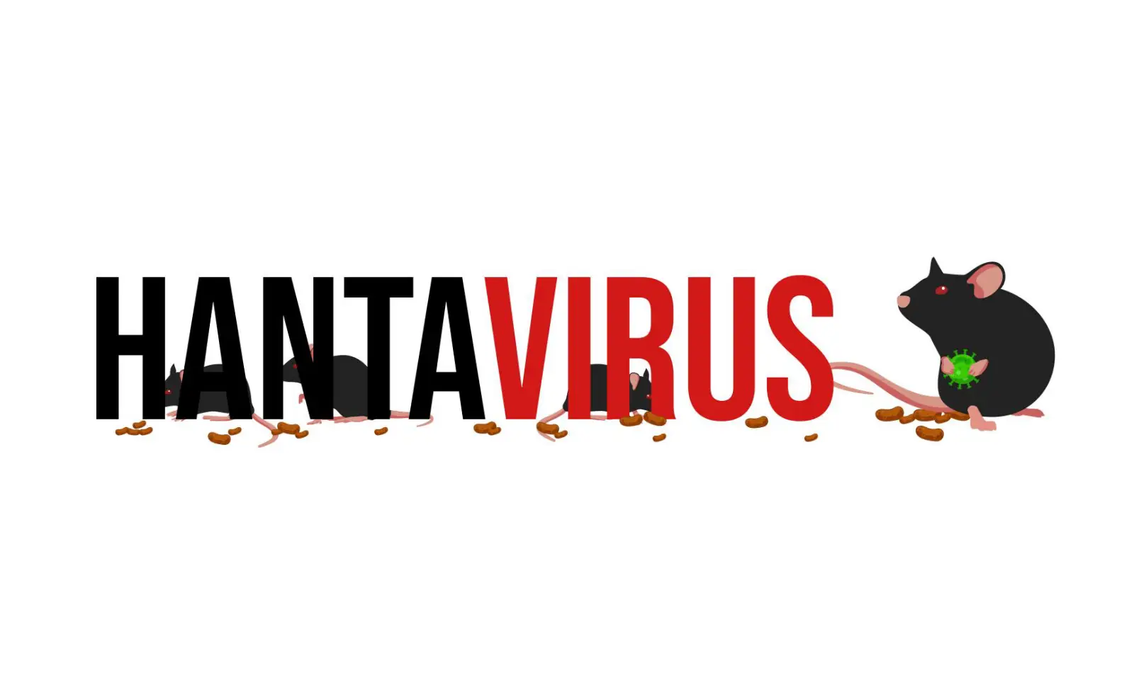 Illustration of the word Hantavirus with infected rats and rodent droppings symbolizing the spread of the virus