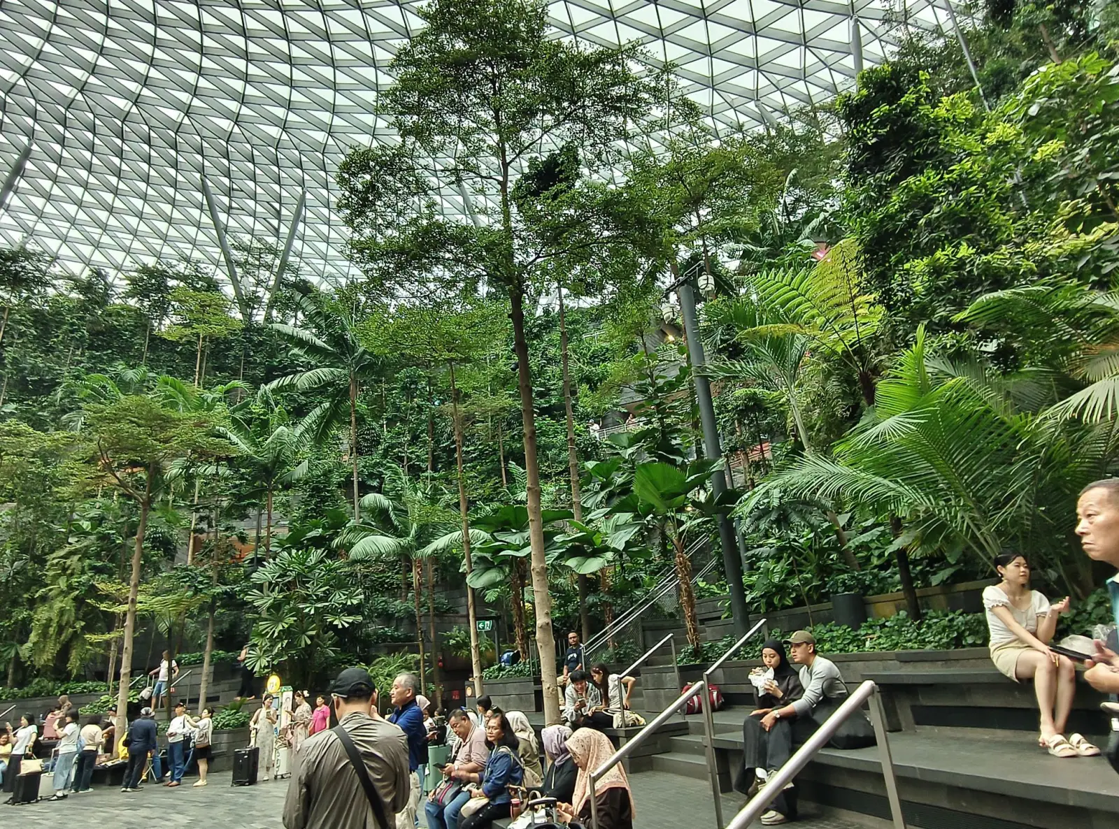 Jewel Changi Airport: Key Highlights Of This Iconic Lifestyle Destination (Part 2) 3 Visitors sitting and walking among tall trees and terraced tropical greenery inside the Forest Valley at Jewel Changi Airport, beneath the steel and glass dome.