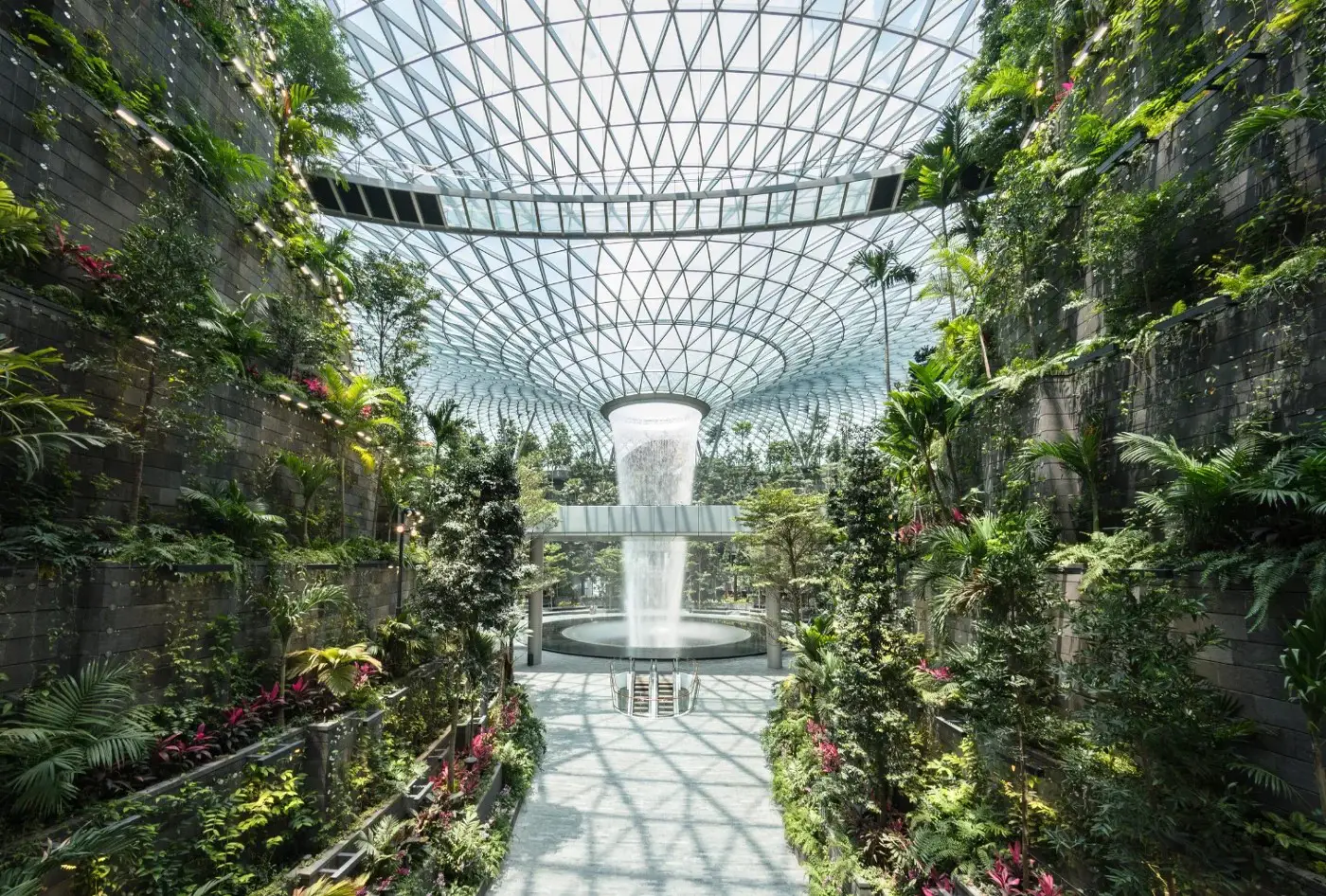 Jewel Changi Airport: Key Highlights Of This Iconic Lifestyle Destination (Part 1) 3 Jewel Changi Airport Forest Valley in Singapore featuring the Rain Vortex indoor waterfall surrounded by lush tropical greenery
