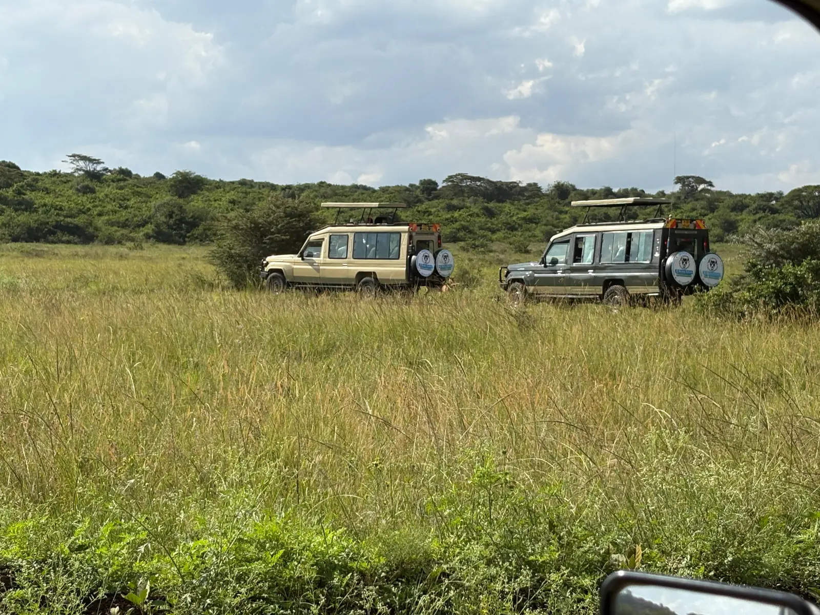 How Kenya Is Winning Both Budget and Luxury Safari Travelers This Year